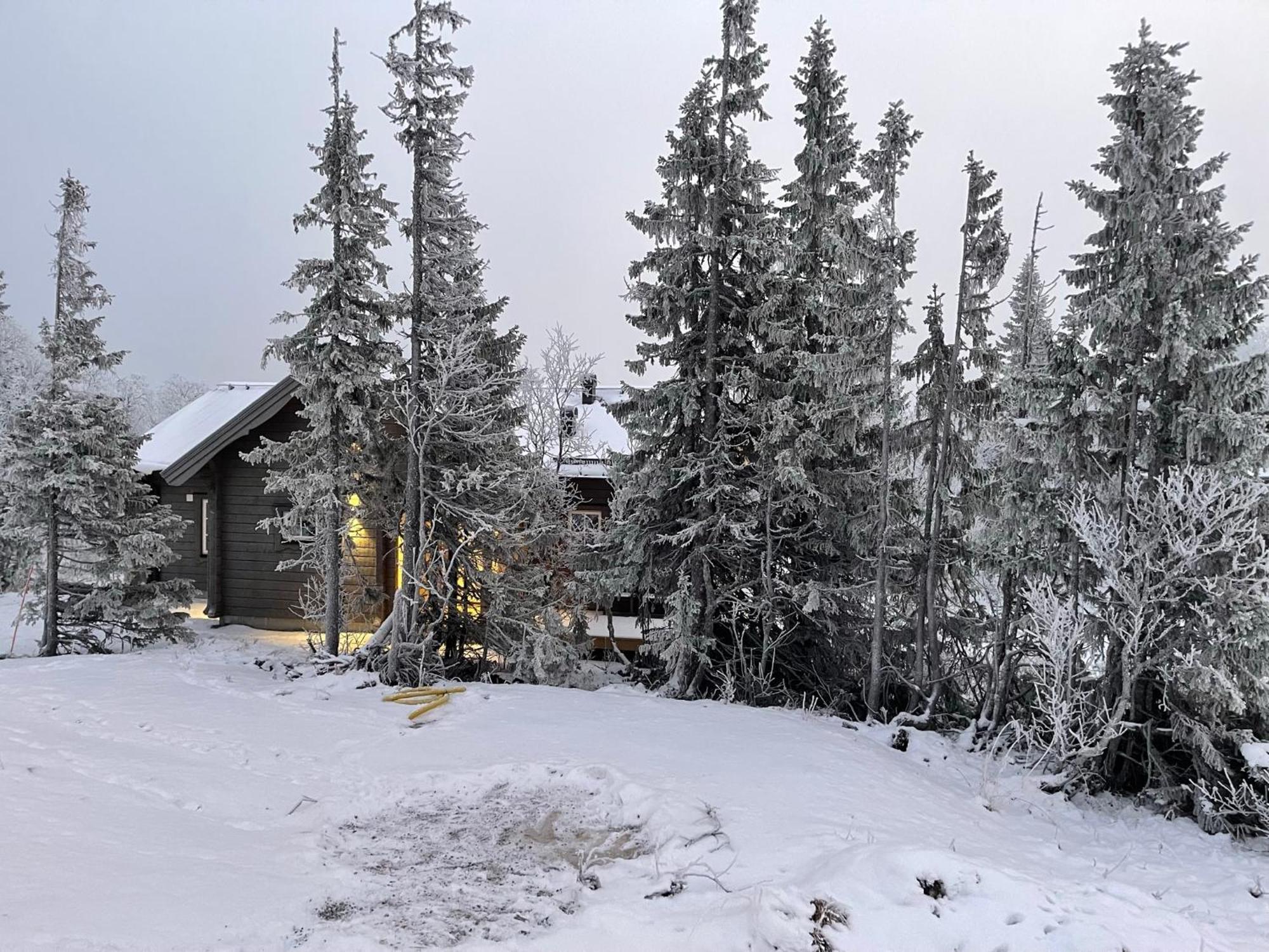 Mountain Holiday Homes - Ottsjoe, Trillevallen -Sweden Are Room photo