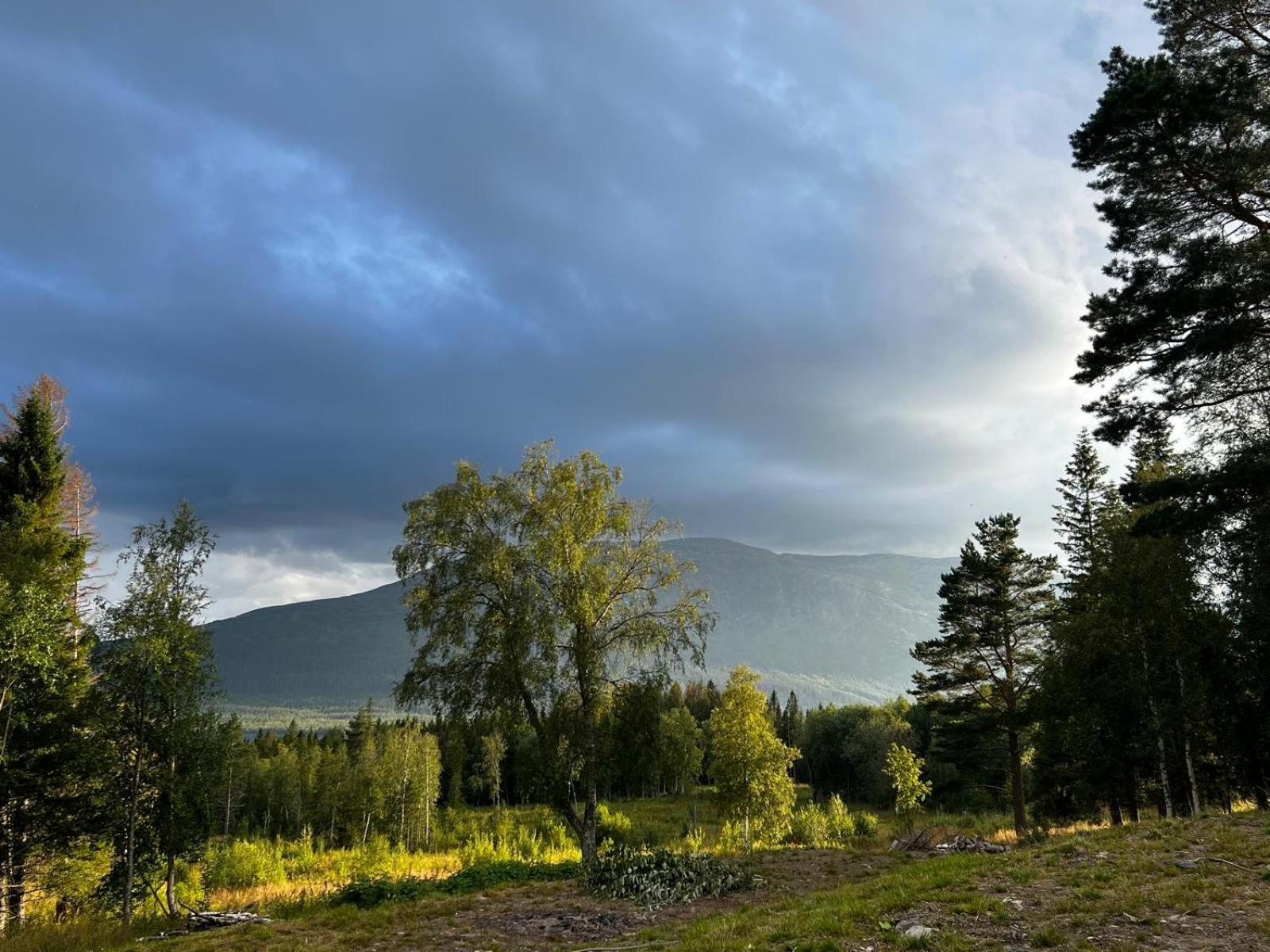 Mountain Holiday Homes - Ottsjoe, Trillevallen -Sweden Are Room photo